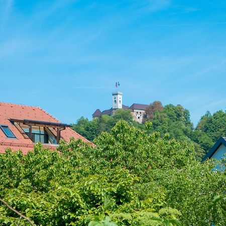 Arto Castle View Apartment Любляна Екстер'єр фото